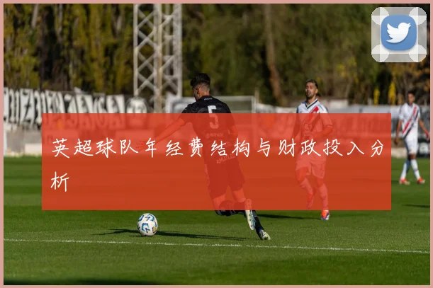 英超球队年经费结构与财政投入分析