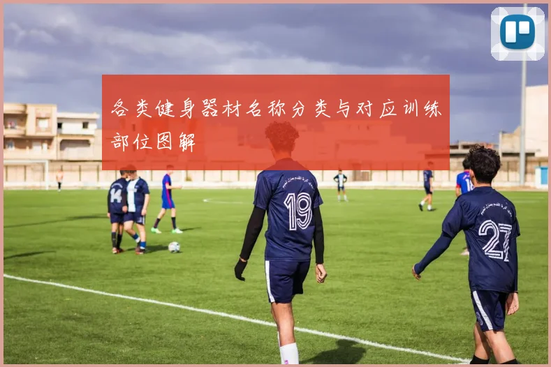 各类健身器材名称分类与对应训练部位图解