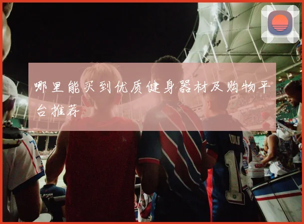 哪里能买到优质健身器材及购物平台推荐